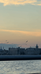 Sunset wildlife and dog activity observed at Kazan waterfront