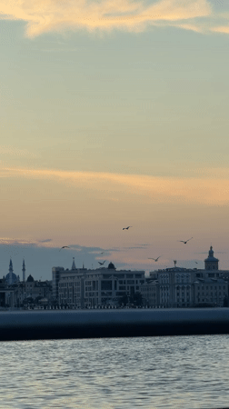 Sunset wildlife and dog activity observed at Kazan waterfront
