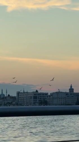 Sunset wildlife and dog activity observed at Kazan waterfront