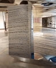 Cultural museum tour documented across Caracas art institutions