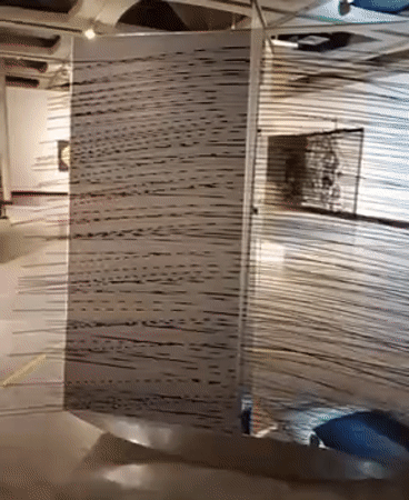 Cultural museum tour documented across Caracas art institutions