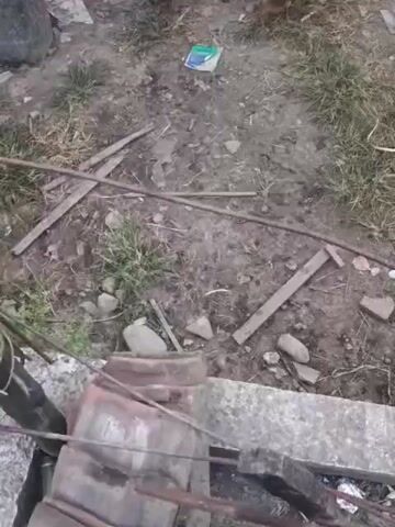 The video shows a group of ducks gathered on a dirt and grass area. There are some pieces of wood and debris scattered around. In the foreground, an orange bucket filled with water and food is visible. A hand is seen reaching into the bucket, presumably to feed the ducks. The ducks appear to be standing and some are looking towards the bucket.