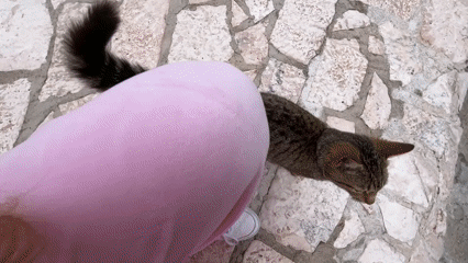 Quiet moments with pets captured in Dupilo, Montenegro