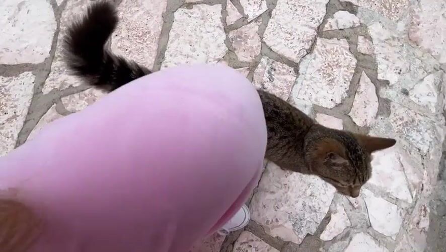 Quiet moments with pets captured in Dupilo, Montenegro