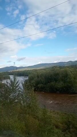 The video shows a scenic view of a winding river flowing through a lush green landscape with trees and hills in the background under a partly cloudy sky. The camera appears to be moving, possibly from a vehicle, as indicated by the slight motion blur and the presence of overhead wires. The water in the river is flowing and appears somewhat murky. The vegetation is dense and varied, with tall trees lining the riverbanks and smaller plants and grass covering the foreground. The overall impression is of a natural, undeveloped environment.