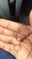 On the road in Sabojibi, Nigeria, with a roadside close-up
