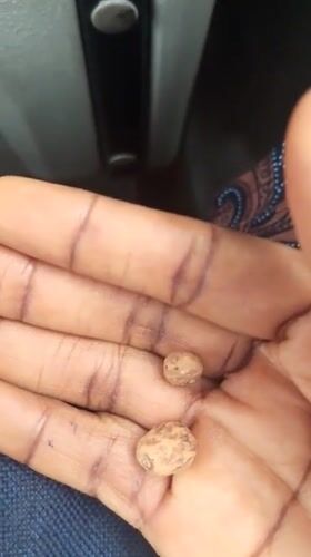 On the road in Sabojibi, Nigeria, with a roadside close-up