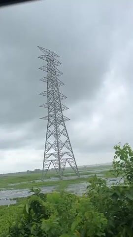 The video shows a tall, lattice-style electrical pylon against a cloudy sky. Lush green foliage, including large leaves resembling banana leaves, partially obscures the view of the pylon. The perspective suggests the video is being filmed from a moving vehicle, possibly a train, as evidenced by the blur of the surrounding vegetation and the framed view through a window. The pylon appears to be in a rural or semi-rural area, with hints of flooded fields or water bodies visible in the distance behind the foliage. The overall mood is somewhat overcast and potentially damp due to the cloudy conditions.