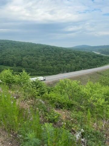 The video pans across a lush green landscape under a cloudy sky. In the foreground, there are various green bushes and plants. A paved road curves through the middle ground, with a white semi-trailer truck driving on it from left to right. Beyond the road, rolling hills covered in dense green forest stretch into the distance. In the far right of the frame, a small body of water, possibly a pond or wetland, is visible amidst the greenery. The scene appears to be a rural, natural environment with a highway cutting through it.