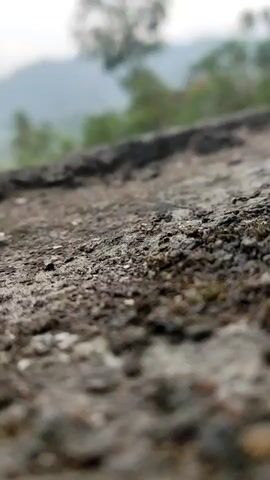The video focuses on a close-up, low-angle shot of a rough, textured surface, likely concrete or stone. The foreground is in sharp focus, revealing gritty details and some dark, moss-like patches. The background is heavily blurred, with indistinct shapes of green foliage and hills under an overcast sky. The camera remains stationary, capturing the static texture of the foreground. There are no people, actions, or interactions visible. The overall impression is one of natural elements and weathered surfaces, with a subdued and natural light.