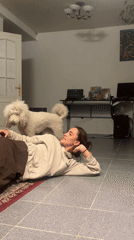 White poodle and owner share a playful floor cuddle session