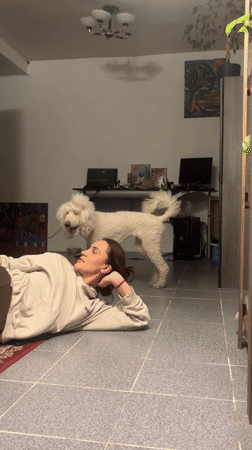 White poodle and owner share a playful floor cuddle session