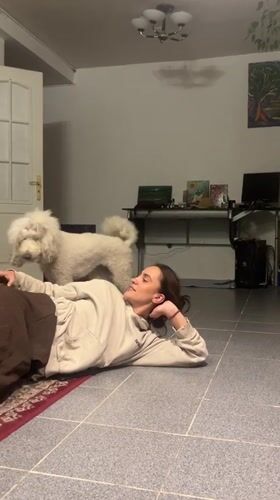 White poodle and owner share a playful floor cuddle session