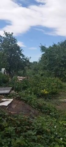 The video shows a panoramic view of a lush green garden on a sunny day. The sky is blue with scattered white clouds. The garden is filled with various plants, including trees, bushes, and flowering plants. In the foreground, there are some garden beds and piles of soil. In the background, there are more trees and bushes, as well as a wooden fence and a tall pole. The overall impression is one of a well-maintained and vibrant garden.