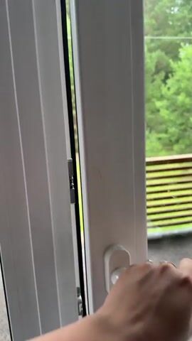 The video opens with a view through an open doorway onto a wooden deck with a grey speckled surface. A wooden railing with horizontal slats runs along the edge of the deck, with a set of wooden stairs leading down to a grassy yard. Beyond the yard, a dense forest of pine trees stretches across the background under a cloudy sky. To the left of the stairs, a metal barbecue grill with a chimney and a pile of firewood is visible in the yard. The camera pans slightly to the right, offering a wider view of the forest and yard. The scene appears to be a rural or suburban setting with a focus on the natural environment.