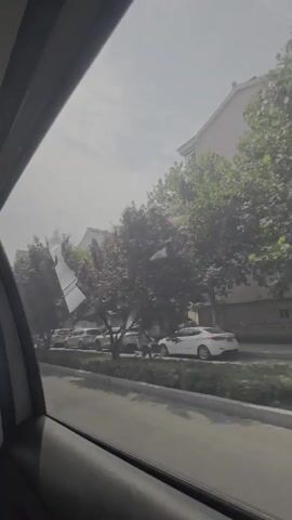 The video shows a view from inside a moving vehicle, looking out the side window. Trees line a street with parked cars. The sky is bright and hazy. The vehicle appears to be in an urban or suburban environment.