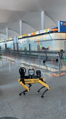 Quadruped robot on patrol at Incheon transit hub