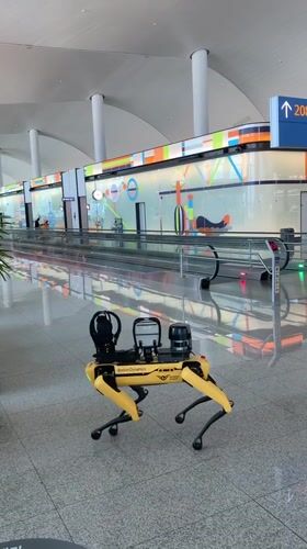Quadruped robot on patrol at Incheon transit hub