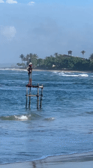 Stilt fishers, beach dogs, and coastal streets in southern Sri Lanka