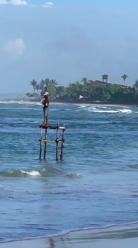 Stilt fishers, beach dogs, and coastal streets in southern Sri Lanka