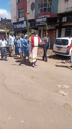 Palm Sunday processions with palm branches observed in Maua Kenya
