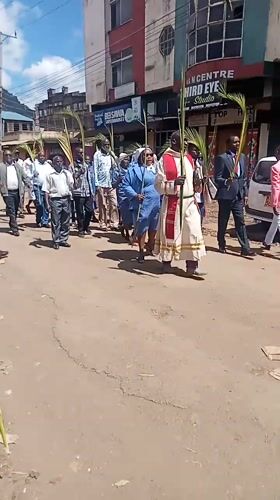 Palm Sunday processions with palm branches observed in Maua Kenya
