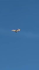 Aircraft and wildlife spotted in Luxembourg afternoon skies