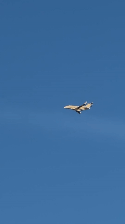 Aircraft and wildlife spotted in Luxembourg afternoon skies