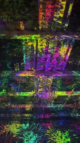 The video is an upward-looking shot of a staircase bathed in colorful, animated projections. The projections display abstract, organic shapes and patterns, reminiscent of fireworks or flora, in vibrant hues of yellow, green, pink, and blue. The staircase itself appears to be made of dark material, possibly wood or metal, with visible treads and risers. The lighting is dynamic, with the projected colors shifting and moving across the surfaces of the stairs and the surrounding environment, creating a visually immersive and psychedelic effect. The camera slowly pans upwards, revealing more of the projected patterns and the architecture of the space.