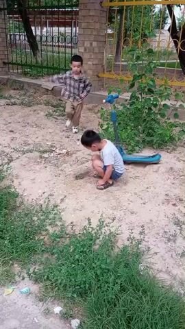 Two young boys are playing in a sandy area next to a brick wall and a black and yellow metal fence. One boy is wearing a plaid shirt and khakis and has white shoes. He walks up to the second boy, who is wearing a gray shirt and blue shorts and has sandals. The second boy is crouched down near a blue scooter that lies in the sand behind him.  The boys begin to look at something in the sand, both pointing and seeming to examine it.  Green foliage grows along the bottom of the scene in front of the sand.  In the background, through the fence, part of a building is visible. A noise that sounds like a whoop is heard.