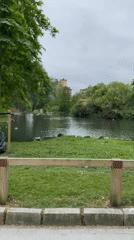 Park visitors document peaceful scenes at Gijón's Jardines de la Reina
