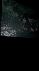 Two seek shelter during heavy rainfall in Botevgrad woods
