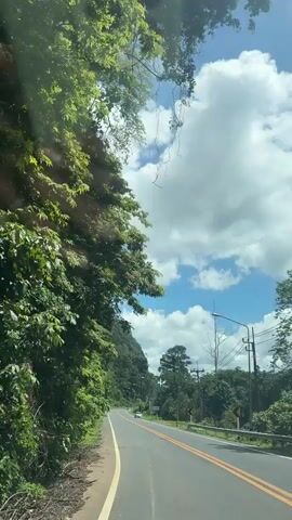 A car's perspective of a two-lane road winding through a lush, green, mountainous area. Tall, dense trees line the left side of the road, while the right side features more trees, power lines, a streetlight, and a yellow curve warning sign. The sky is a vibrant blue with large, fluffy white clouds. A silver car is parked on the right shoulder of the road. A motorcycle is visible in the distance, further down the road on the left side. The road has a double yellow line in the center, indicating no passing. The overall impression is a scenic drive through a tropical or subtropical region.