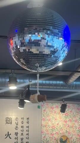 The video features an interior shot of a restaurant or a similar establishment, focusing on the ceiling. The dominant element is a large, shiny disco ball suspended by a rope. Hanging from the same rope, directly beneath the disco ball, is a small, plush toy of a bear dressed as a piece of fried chicken. The ceiling also features visible air ducts, three hanging spotlights aimed downward, and a white tiled wall with writing in an Asian script and a floral wallpaper segment. The disco ball reflects colored lights from the surrounding environment. The camera remains static throughout the video.