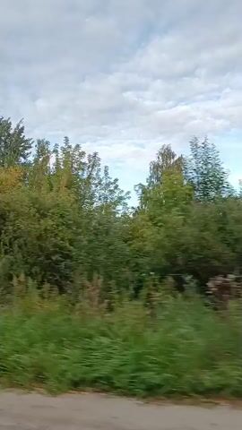 The video appears to be shot from inside a moving vehicle. The initial shot shows a blur of green foliage and trees against a cloudy sky. The perspective then shifts to show a view through the car's window. The scene transitions to a road with trees and bushes lining the sides. As the vehicle continues, a small village or town comes into view. There are houses, traffic lights, and street signs visible. The road is paved and appears to be a two-lane road. The sky is overcast with scattered clouds. The overall impression is of a rural or semi-rural landscape.