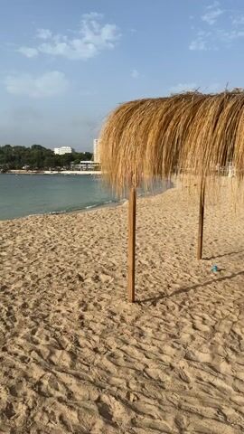 A static vertical shot captures a tropical beach. The foreground is dominated by a sandy beach with visible footprints and shadows cast by a thatched umbrella. Two wooden posts support the umbrella, which is made of dried grass. To the left, the turquoise ocean meets the sandy shore with gentle waves. In the distance, a line of green trees and a white building are visible along the coastline under a clear blue sky with scattered clouds. A small blue object, possibly a ball, is visible in the sand to the right of the umbrella's right post. The overall scene suggests a tranquil beach setting.