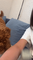 Woman and dog share quiet moments at Montenegro home