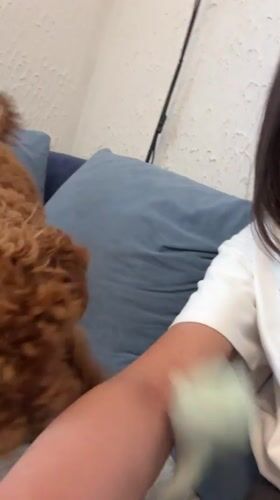 Woman and dog share quiet moments at Montenegro home