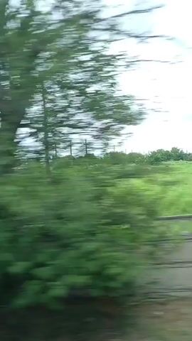 The video shows a landscape from a moving vehicle. In the foreground, there is a grey concrete fence with a patterned top. Behind the fence, there is a green field with tall grass and several power poles. In the distance, there are some trees and what appear to be farm buildings with red doors. There are also some round hay bales scattered in the field. The sky is overcast. The camera pans slightly to the right, showing more of the field and trees. The video is brief and appears to be a recording of scenery passing by.