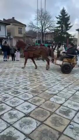 A brown horse pulls a cart carrying a man in a town square with a crowd of onlookers. The horse is equipped with a harness and the cart has two wheels. The square is paved with light gray patterned tiles, and buildings surround the open space. The sky is overcast. People are standing along the perimeter of the square, watching the horse and cart. Some are dressed in casual winter clothing. The horse is walking and appears slightly agitated or nervous.