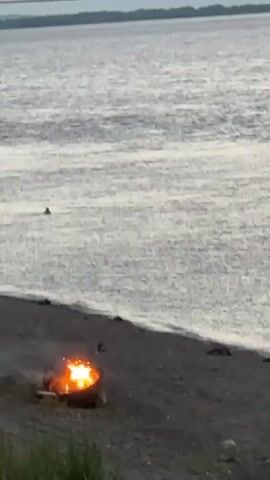The video shows a body of water, possibly a lake or river, with a person swimming in the distance. In the foreground, there is a campfire burning on a dark, sandy shore. The fire is in a metal ring. There is some vegetation around the campfire and on the slope leading down to the water. The sky appears overcast.