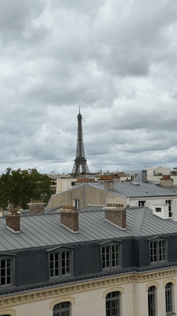 Tourist documents cloudy Paris morning from elevated viewpoint