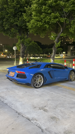 Blue Lamborghini Aventador parked at night in Dongguan