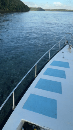 Boat and harbor scenes captured around Nusa Penida waters