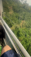 Cable car ride documents Taipei forest views, colorful tower