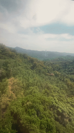 Cable car ride documents Taipei forest views, colorful tower