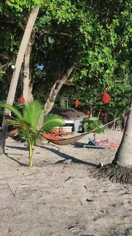 The video captures a serene beach scene. The foreground features sandy ground with some debris. In the midground, a hammock is slung between two trees, with an orange lounge chair next to it. To the right of the hammock, a person is lying on another blue lounge chair. Behind the hammock, there is a small thatched-roof structure. Several red lanterns are hanging from the trees. Lush green foliage and palm trees dominate the background, with a clear blue sky visible above. The video pans upwards and to the right, showcasing the palm trees and the sky.