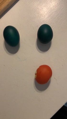 Easter egg decoration documented in Hrodna, Belarus