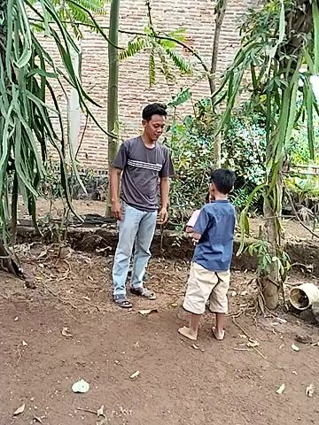 Two individuals, an adult male and a child, are engaged in a playful interaction outdoors. The adult male, wearing a grey t-shirt with stripes and light blue jeans, is positioned in the foreground. The child, wearing a blue shirt and beige shorts, is in the middle ground. They are in a dirt-covered area with lush green vegetation surrounding them, including what appears to be dragon fruit plants. The child is leaning over, possibly in a playful or mock-fighting stance, while the adult male stands upright, looking at the child. The scene appears to be a casual, outdoor setting.