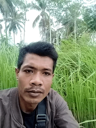 Man poses for photos in Indonesian coastal field